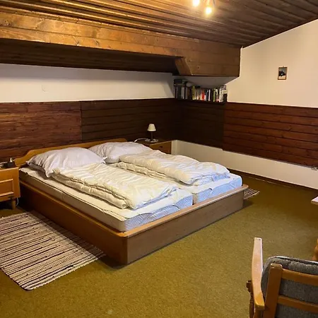 Dachgeschoss-apartment In Skilift-naehe *