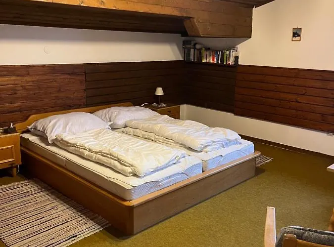 Dachgeschoss-apartment In Skilift-naehe *