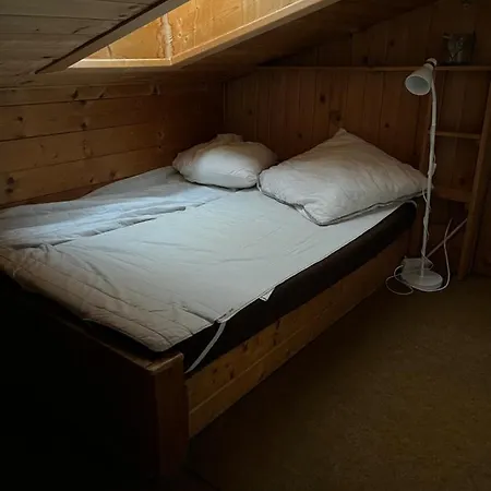 Lejlighed Dachgeschoss-apartment In Skilift-naehe Zell am See